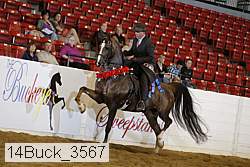 14buck_3567 proof