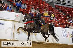 14buck_3570 proof