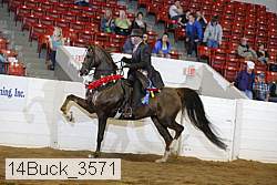 14buck_3571 proof
