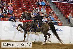 14buck_3572 proof