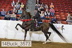 14buck_3573 proof