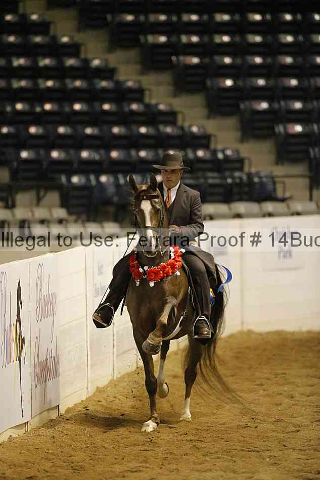 Proof 14buck_3575