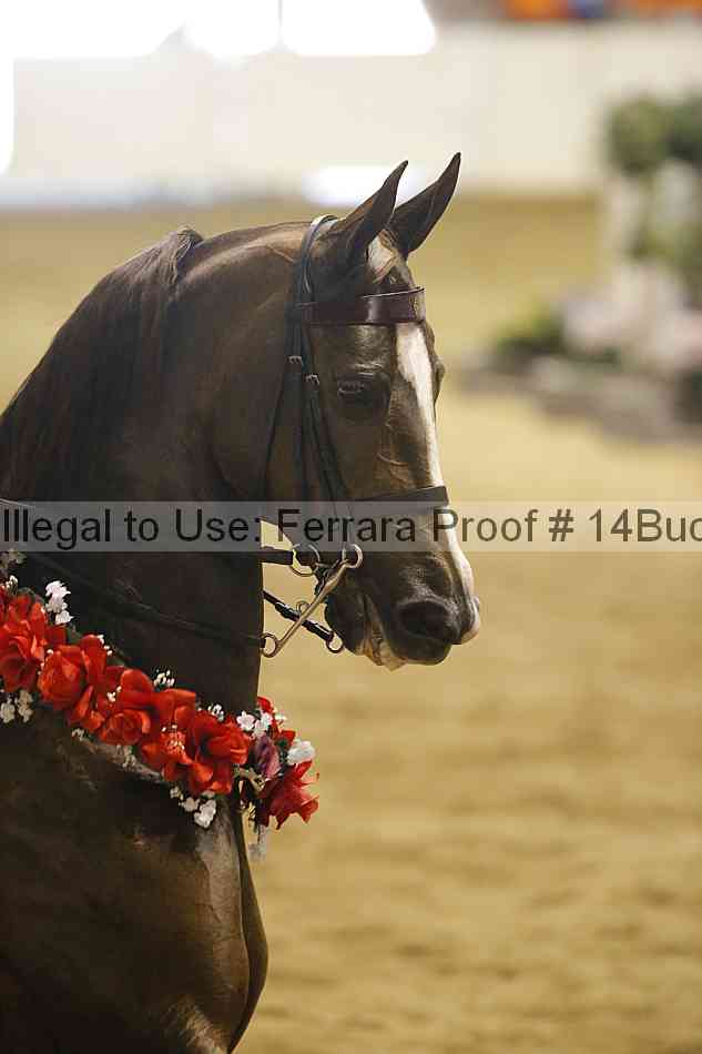 Proof 14buck_3580