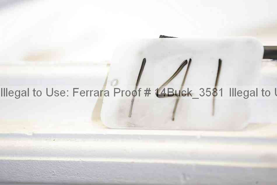 Proof 14buck_3581