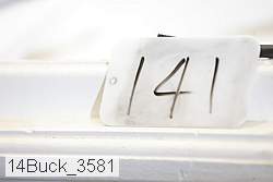 14buck_3581 proof