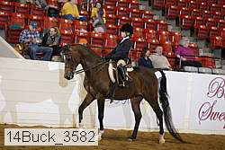 14buck_3582 proof