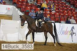 14buck_3583 proof