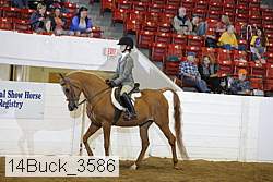 14buck_3586 proof