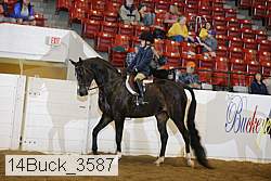 14buck_3587 proof
