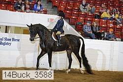 14buck_3588 proof