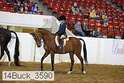 14buck_3590 proof