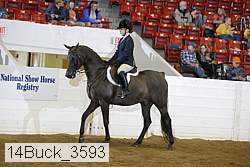 14buck_3593 proof
