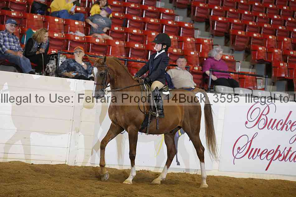 Proof 14buck_3595