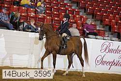 14buck_3595 proof