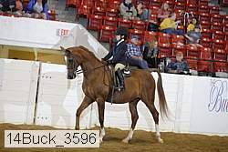 14buck_3596 proof