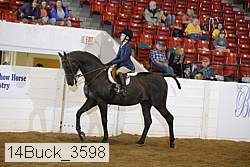 14buck_3598 proof