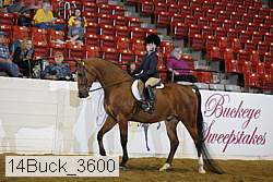 14buck_3600 proof
