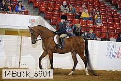 14buck_3601 proof