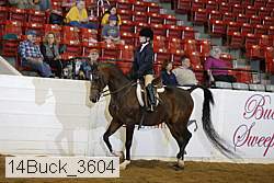 14buck_3604 proof
