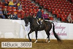 14buck_3609 proof