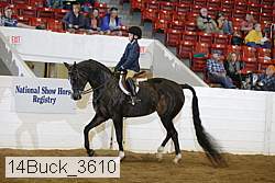 14buck_3610 proof