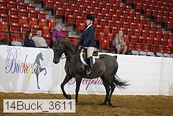 14buck_3611 proof