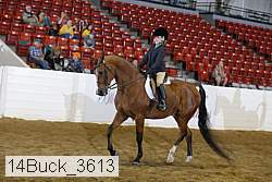 14buck_3613 proof