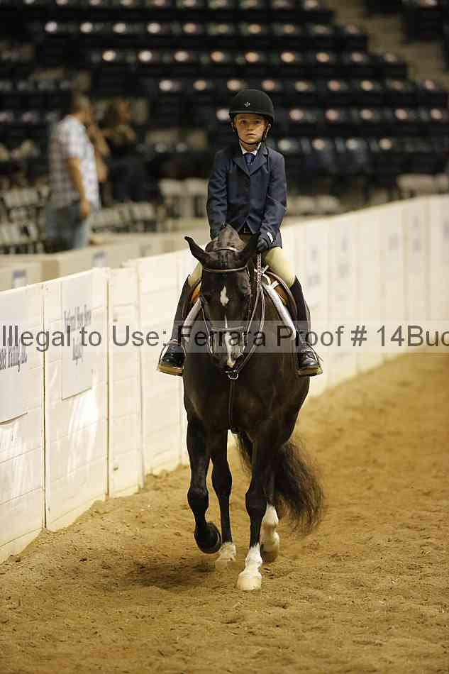 Proof 14buck_3614