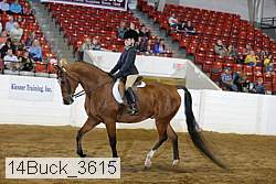 14buck_3615 proof