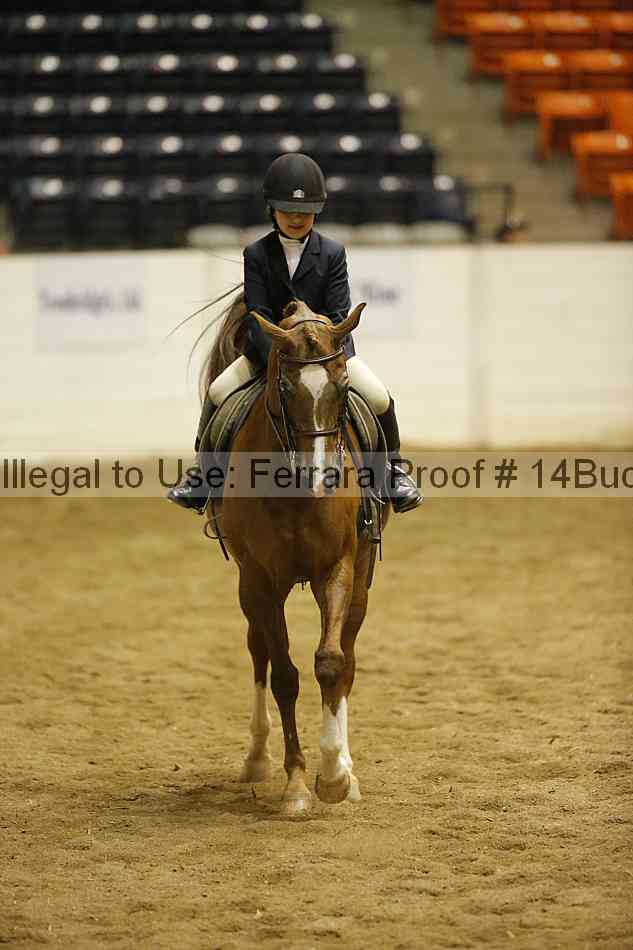 Proof 14buck_3618