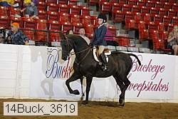 14buck_3619 proof