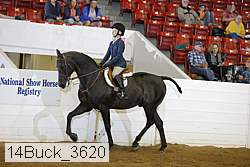 14buck_3620 proof