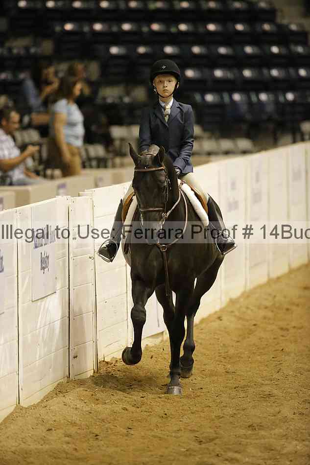 Proof 14buck_3622
