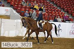 14buck_3623 proof