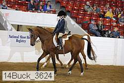14buck_3624 proof