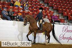 14buck_3626 proof