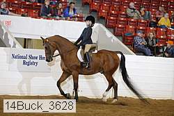 14buck_3628 proof