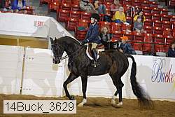 14buck_3629 proof