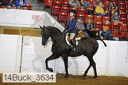 14buck_3634 proof