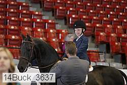 14buck_3637 proof