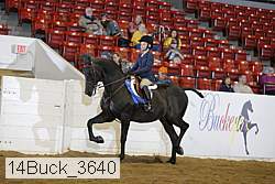 14buck_3640 proof