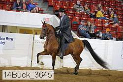 14buck_3645 proof