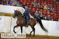 14buck_3649 proof
