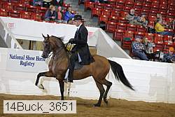 14buck_3651 proof