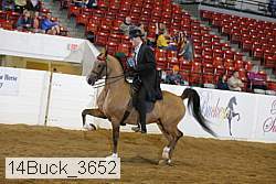 14buck_3652 proof