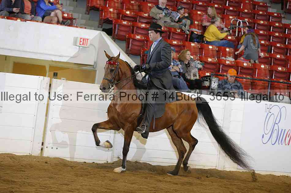Proof 14buck_3653