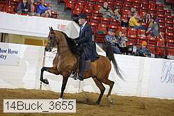 14buck_3655 proof