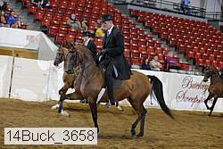 14buck_3658 proof