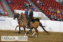 14buck_3659 proof
