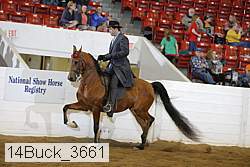 14buck_3661 proof